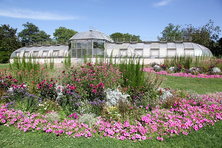 在法国里昂金头公园的荷兰温室位于法国里昂自然颜色花园图片