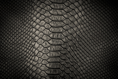 鳄鱼包抽象的打印黑蛇皮图案纹理背景濒危设计图片