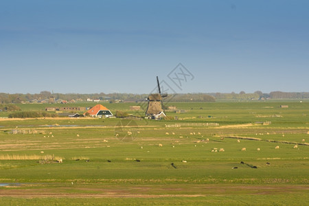 自然农田带有天空和风车的典型杜丘景家畜图片