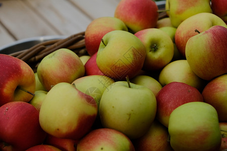 苹果放在一个桌上的子在以安地丹的园圃里可口秋天葡萄图片