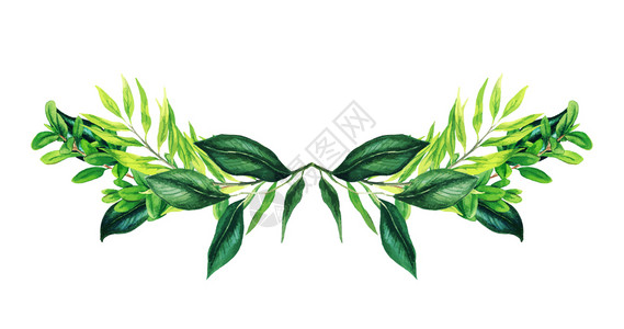 水彩绘制绿色对称装饰花束由新鲜绿叶和树枝组成手工绘制的矢量水彩色插图模板盛开花画设计图片