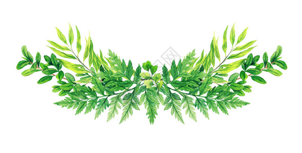对称竹竿叶子分支自然优质的绿色对称装饰花束由新鲜绿叶和小树苗组成手工抽水彩色画样板Name设计图片