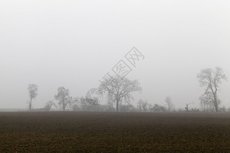 鹊华秋色图景观薄雾高清图片