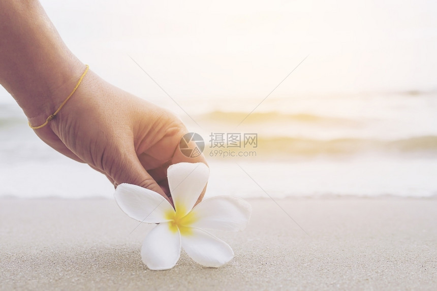 沙滩边手拿鸡蛋花图片