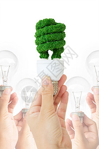 植物地球可再生手持态灯泡能源概念图片