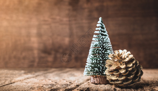 冬天圣诞树和松果图片