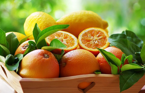 桌子农业水果绿背景的篮子中熟橙类图片