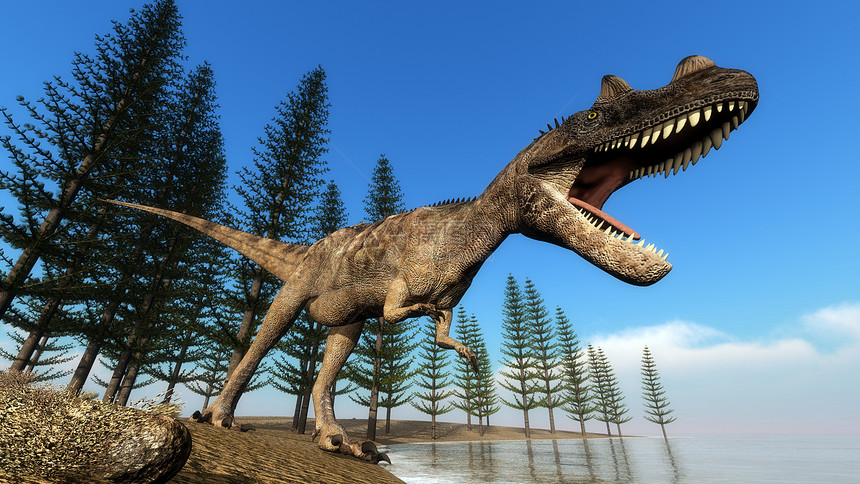 动物自然日复一走在海岸边的卡拉米亚树前面时木龙恐咆哮3D使木龙恐在海岸线上生长3D使木龙恐变成3D天图片