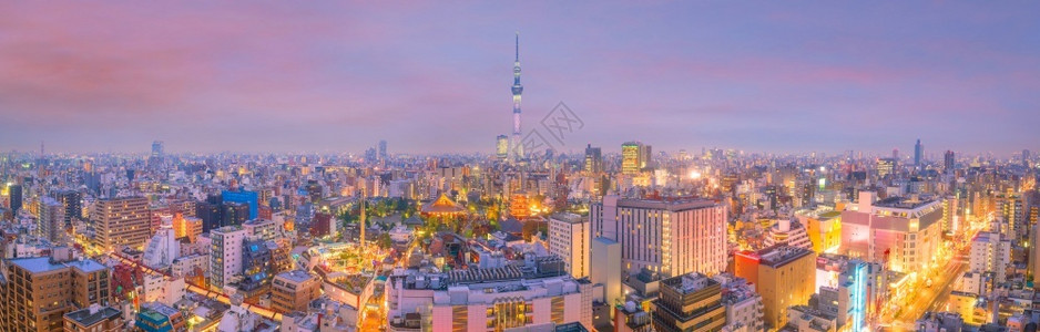 神社日本东京市天际的全景片历史市中心图片