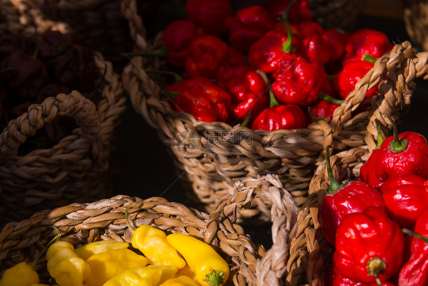农贸市场上的一束彩色辣椒农贸市场上的辣椒香料绿色颜图片