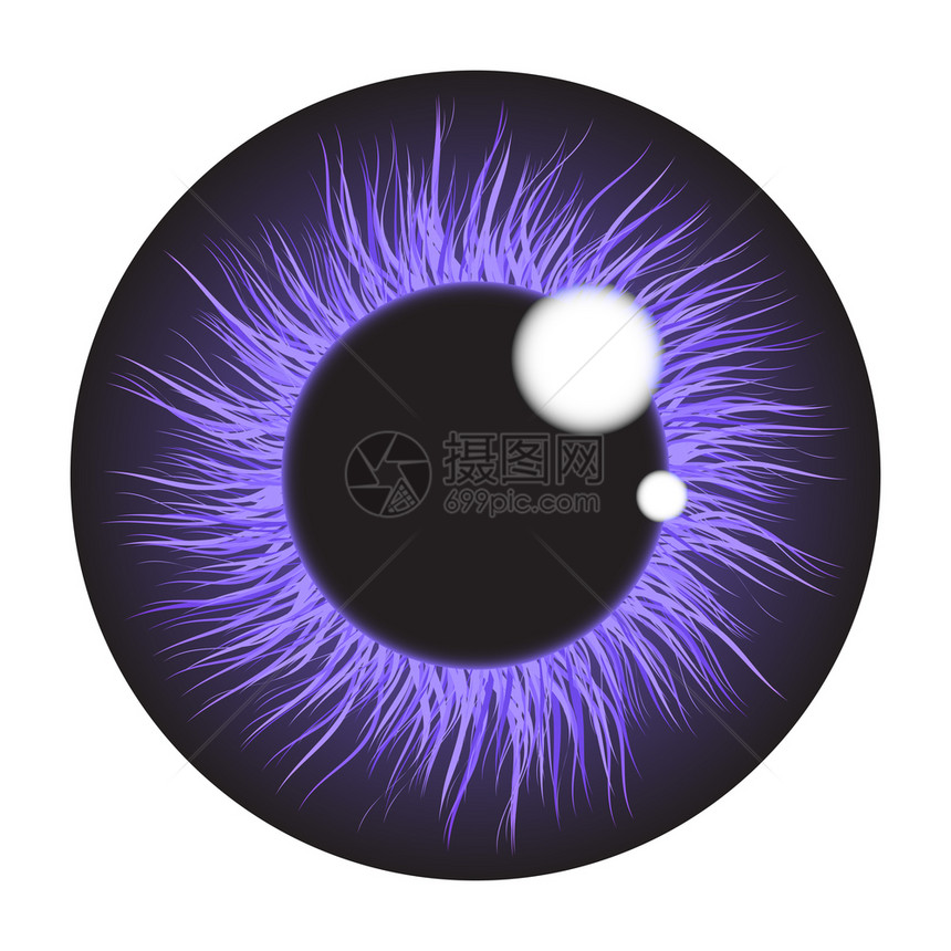 想象紫虹镜眼现实矢量组设计在白色背景上分离艺术解剖学图片