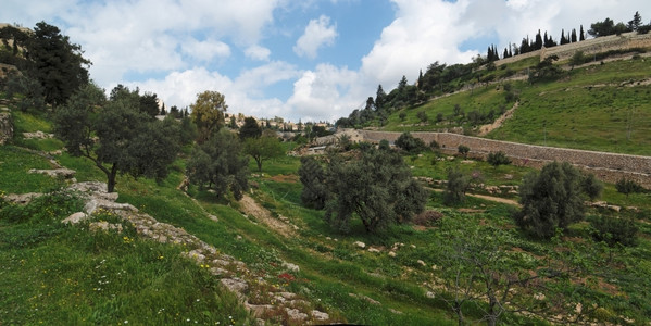 地狱火耶路撒冷旧城附近的GehennaHinnom山谷绿色牺牲东方背景