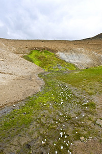 冰岛Myvatn附近活跃的克拉夫系统火山口两侧冒出一个温泉花朵种矿石背景图片