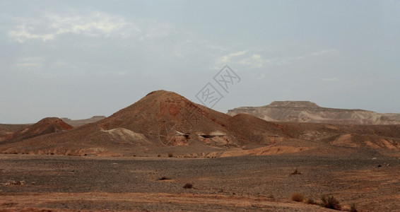 最喜欢的日光中埃及沙漠和弥漫的天空白中间图片