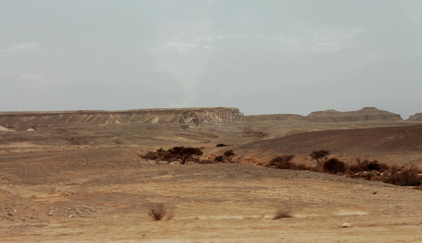 绿色日光中埃及沙漠和弥漫的天空沙丘爬坡道图片