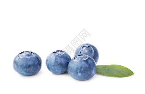 成熟自然新鲜蓝莓白背景上孤立叶子的青莓营养图片