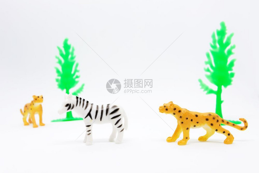 美丽的血液在白色背景动物玩具塑料上孤立的豹和斑马模型打猎图片