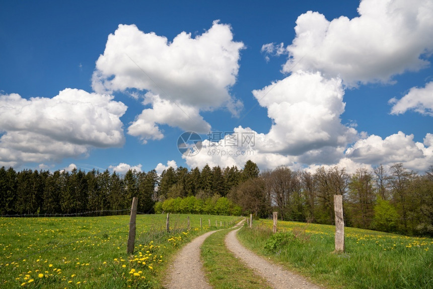 踪迹德国伯吉斯州BergischesLand春季带云和蓝天空的漫步穿过草地原植物群土图片