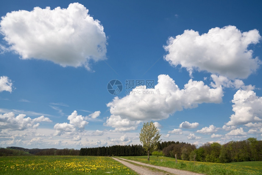 夏天人行道植物群德国伯吉斯州BergischesLand春季带云和蓝天空的漫步穿过草地原图片