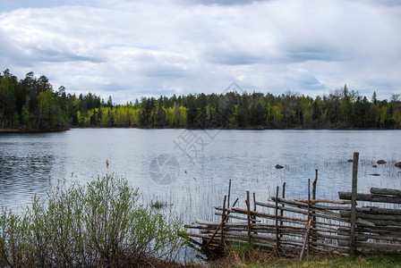自然栅栏春天在斯马兰的瑞典省一个湖边老式图片