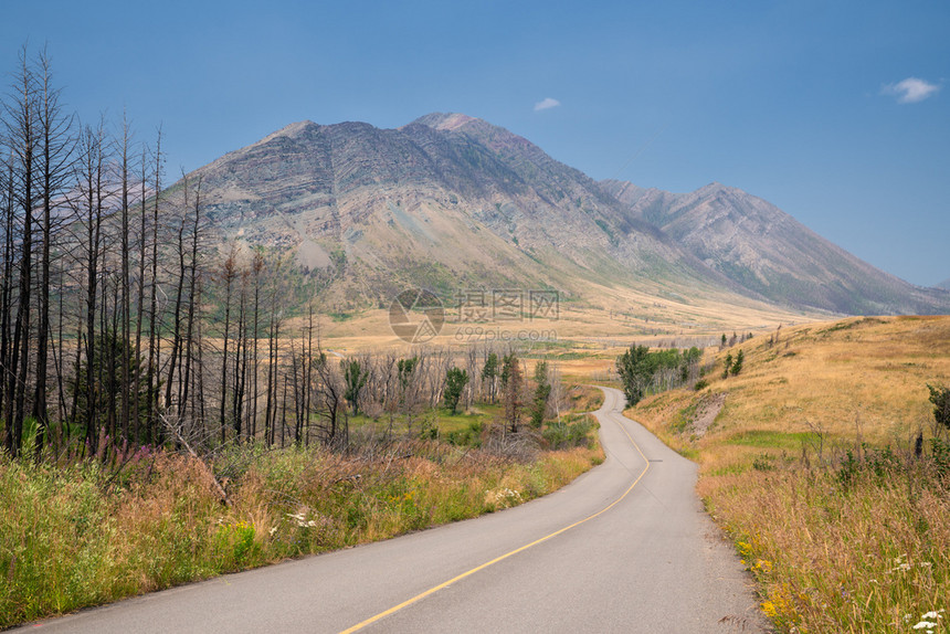 Waterton湖水顿公园景观蓝色天空加拿大艾伯塔假期山沃特顿图片