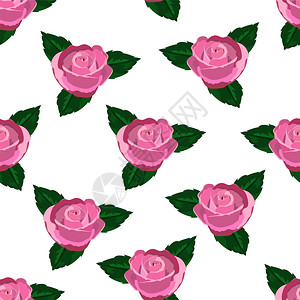 白色背景的粉红玫瑰叶子和墙纸上的粉红玫瑰色白的无缝植物图片