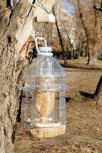 种子猪油冬季用作鸟类饲料的大型塑瓶oopicapi图片
