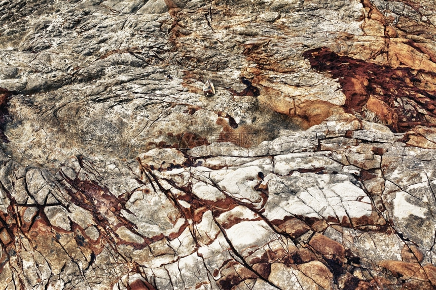 支撑泰国岸边岩石的质地关闭裂缝石灰图片
