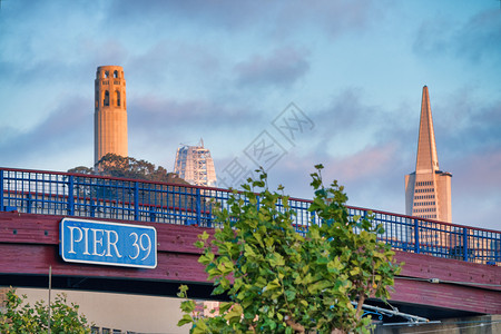 美国市中心39号码头牌背景上有旧金山的Mani大楼建造图片