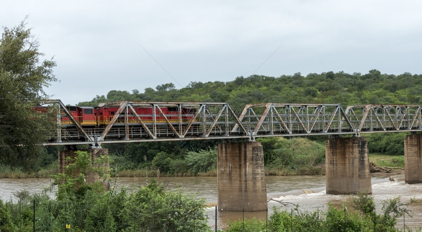 结构体门户14运输非洲南部大象河上横跨桥的火车靠近棕榈树图片