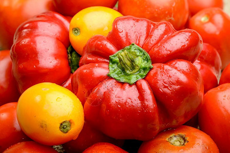 健康厨房各种新鲜西红柿和来自菜园的铃椒混杂在一起绿色图片