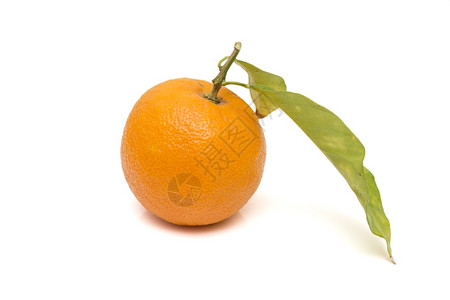 健康白色背景上的成熟橙子水果美食图片