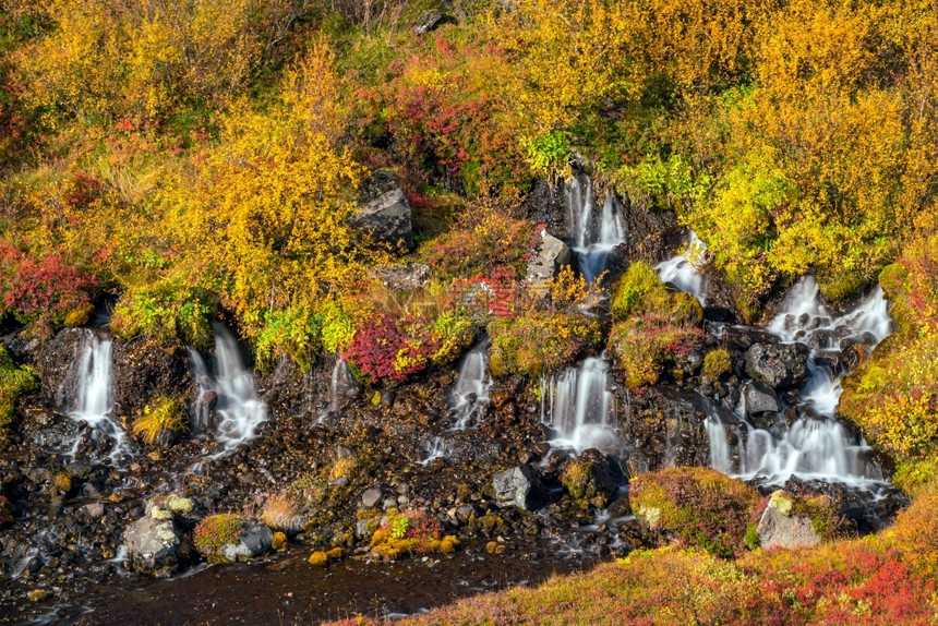 哈蒙达伦冰岛的Hraunfossar瀑布秋天地质学图片