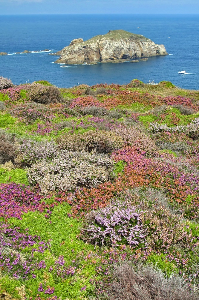 CabodePenas阿斯图里亚公国阿图里亚西班牙欧洲历史环境冷静的图片