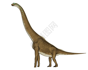 长尾雉古老的史前以白色背景与世隔绝的法拉菲坦恐龙3D形成法拉菲坦恐龙3D长颈鹿设计图片