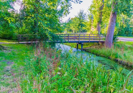 森林风景中横跨河流的木桥图片