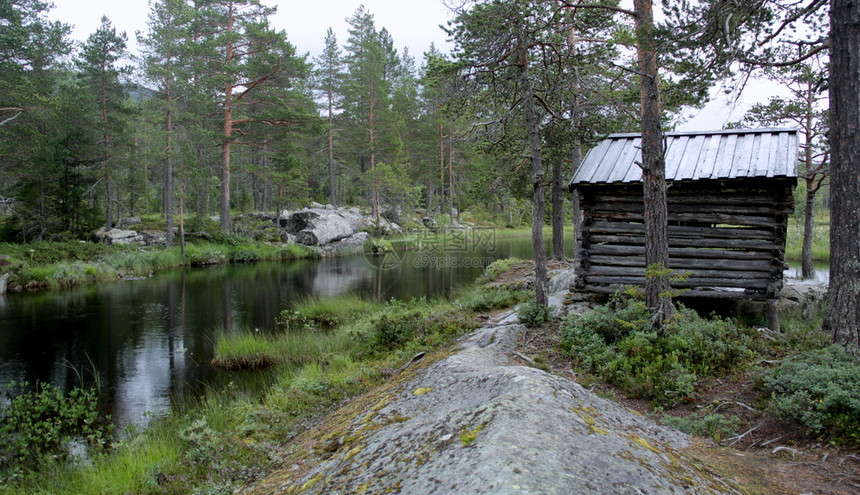 夏日的挪威风景图片
