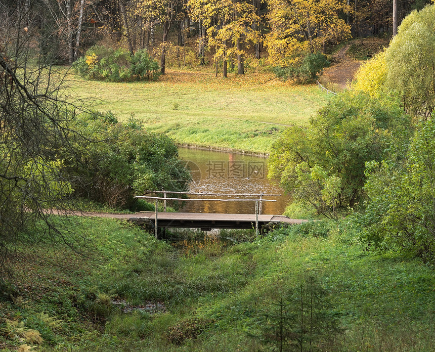 横跨河流和秋林的木环桥背景如画溪流木头图片