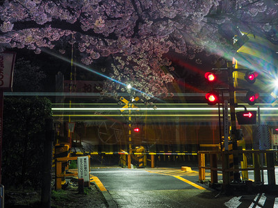 日本郡山2017年4月7日火车通过与开花樱交叉口的长时间曝光火车通过与开花樱交叉口的长时间曝光漂亮的亚洲街道背景图片