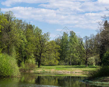 湖水中树木和云彩背景图片