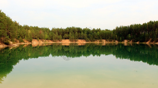 在森林中画像湖美丽的夏日风景林中画相湖在森旅行画报荒野图片