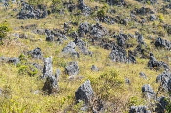 绿树和石块在山地景观中的位置垃圾摇滚自然公园图片