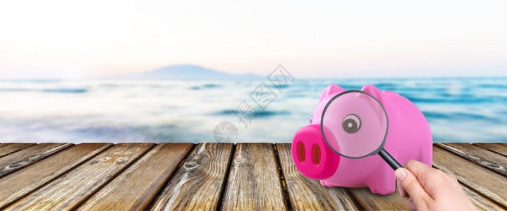 搜索粉红色的海底小猪银行寻找度假旅钱财的理念小样货币图片