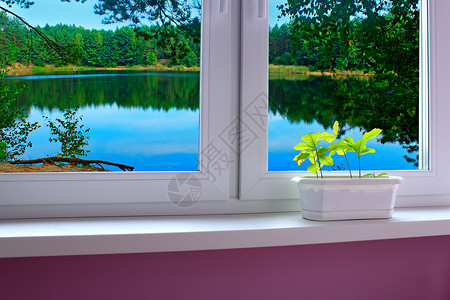 家具俯视森林湖的舒适房间窗户外的温馨房间口沼泽台图片