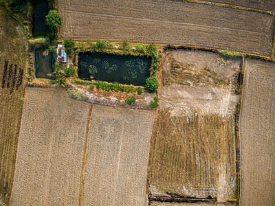 季节空气准备种植大米无人机摄影的一幅大型农业用地的空中图片旅行图片