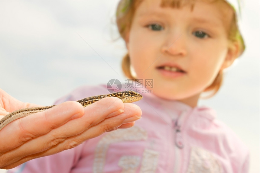 爬虫婴儿小女孩看着成人手上的蜥蜴在惊叹中不已愕图片