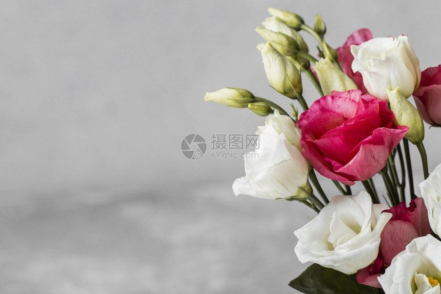 新鲜的花束玫瑰靠近复制空间高分辨率照片花束玫瑰靠近复制空间高质量照片白色的红图片