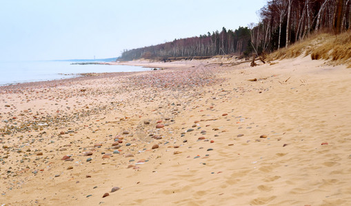 秋冬季海岸水库岩秋冬季海微风沿图片