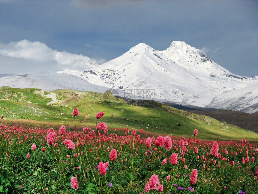 采取夏天季节亚美尼高加索山脉夏季日亚美尼图片