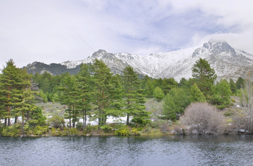 全景西班牙马德里纳瓦塞拉达山脉和湖泊的雪森林远足图片